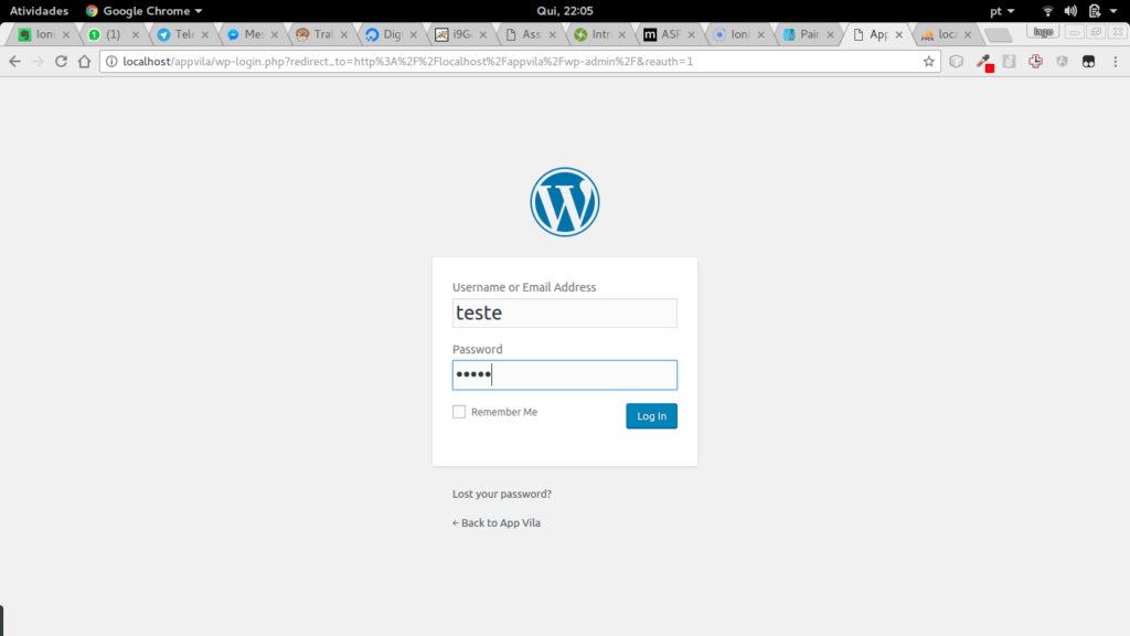 Tela de Login WordPress