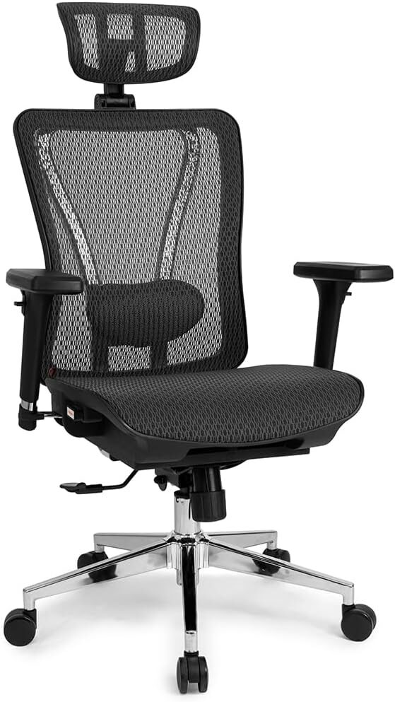 cadeiras ergonômicas Cadeira Ergonômica DT3 Office Moira