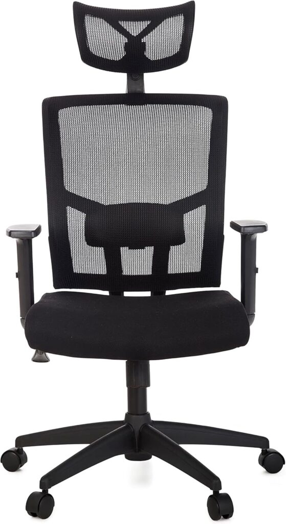 cadeiras ergonômicas Cadeira Ergonômica Anima Presidente